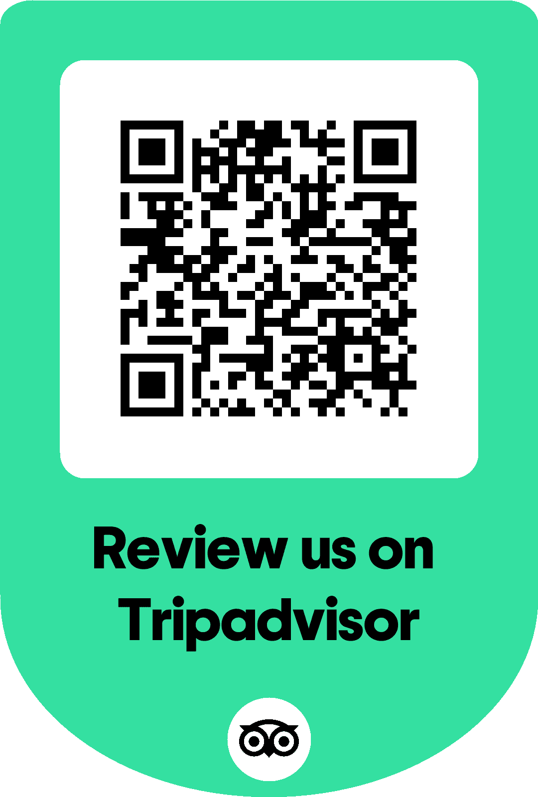 Trip Advisor